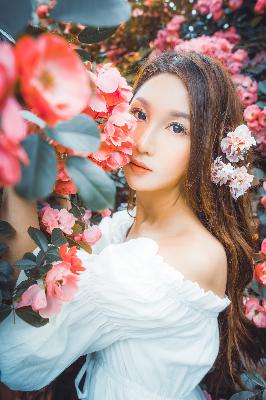 卫星云图实况高清