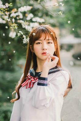 樱花草视频高清电影好看的电视剧